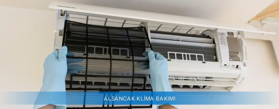Alsancak İlçemi Carrier Klima Bakımı